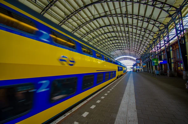 Harlem, Amsterdam, Netherlands - July 14, 2015: Inside railroad station, large roof covering platform, blue and yellow train pulling up