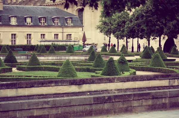 パリ、フランスは 2015 年 6 月 1 日: コーンと公園エリア形の木と背景の古い建物 — ストック写真