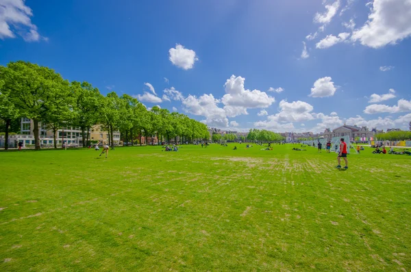Amsterdam, Holandia - 10 lipca 2015: Parku z drzewami i pola trawy w mieście, piękne błękitne niebo — Zdjęcie stockowe