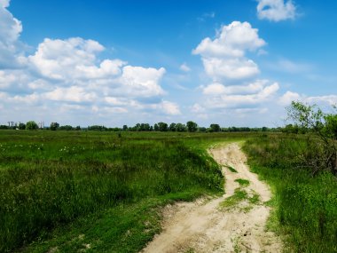 Güneşli bir günde çayır