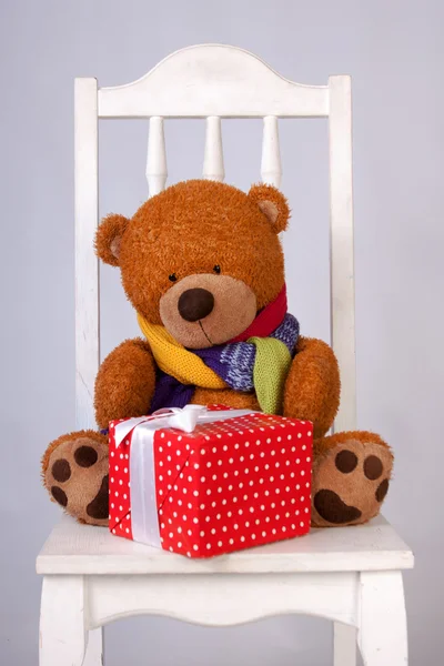 Teddybär — Stockfoto