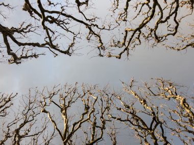 Sokakta üzerinde gökyüzü