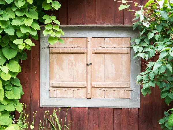 Old window with shutters closed — Stock Photo, Image