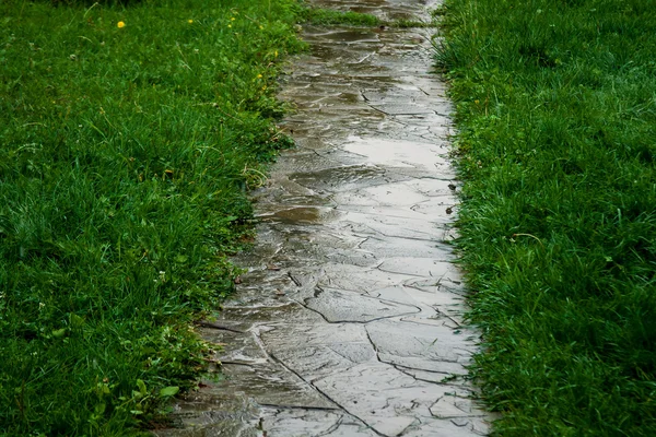 公园里的湿路径 — 图库照片