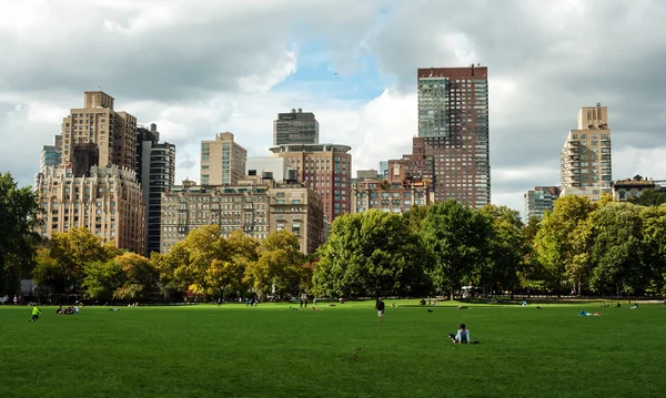 O prado no Central Park — Fotografia de Stock