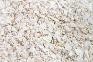 Yulaf lapası lokanta çocuk portre için