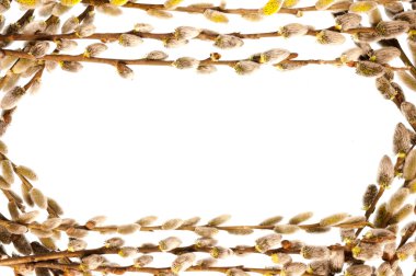 Söğüt dalları çerçeve.