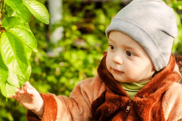 Bebé vestido alcanza las hojas verdes . — Foto de Stock
