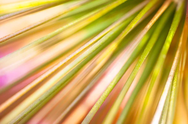 Imagem de fundo abstrato de cores amarelo, verde e laranja — Fotografia de Stock