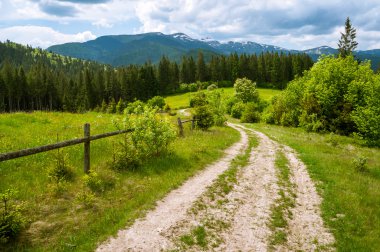 Ukrayna Karpatlar dağ manzarası