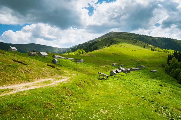 Góry krajobraz w Karpatach ukraińskich — Zdjęcie stockowe