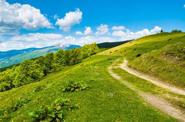 Berglandschaft in den ukrainischen Karpaten — Stockfoto