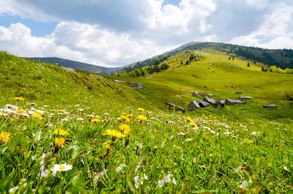 Bergslandskap i ukrainska Karpaterna — Stockfoto