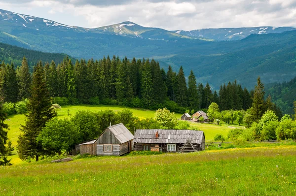 Berglandschap in de Oekraïense Karpaten — Stockfoto