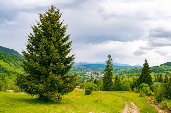 Berglandschap in de Oekraïense Karpaten — Stockfoto