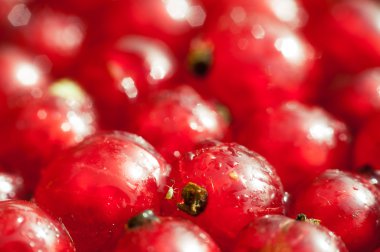 Demet Frenk üzümü, yakın çekim