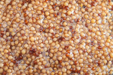 Hardal dokusunu kapat. .