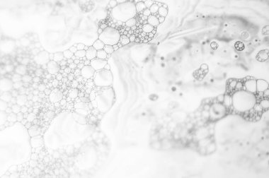 Beyaz arkaplanda siyah çizgiler .