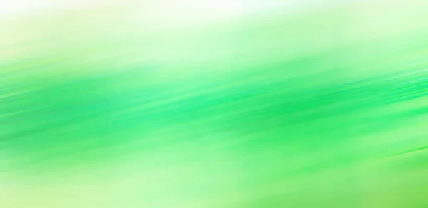 Yeşil Arkaplan Soyut Doğa Başlıkları Duvar Kağıdı — Stok fotoğraf