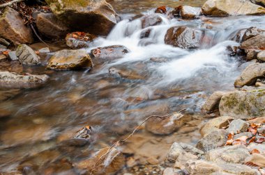 Bir dağ nehir üzerinde bir şelale