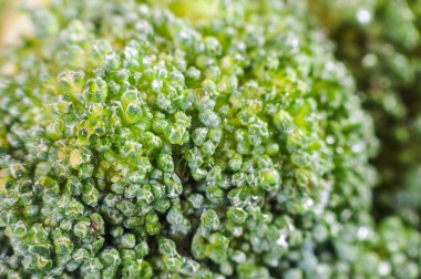 Yeşil brokoli makro doku