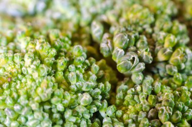 Yeşil brokoli makro doku