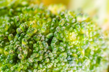 Yeşil brokoli makro doku