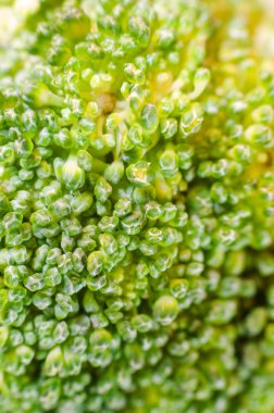 Yeşil brokoli makro doku