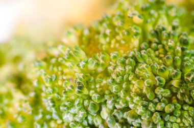 Yeşil brokoli makro doku