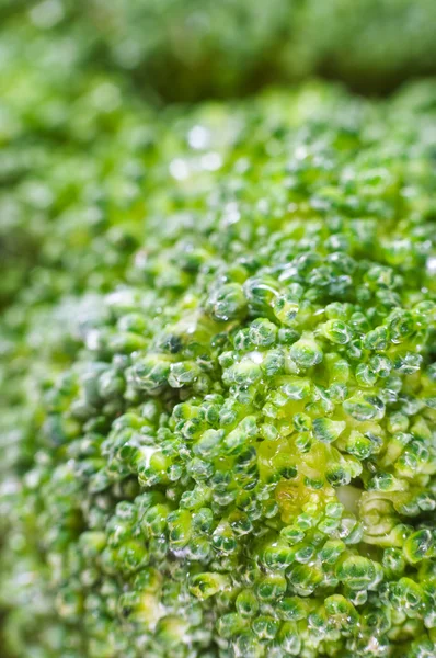 Yeşil brokoli makro doku