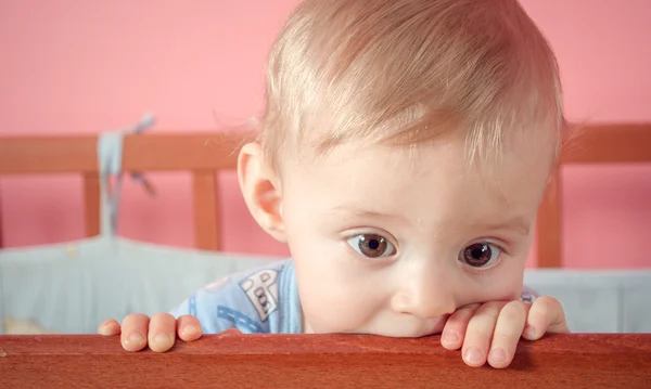 bir bebek ilk dişler büyümek