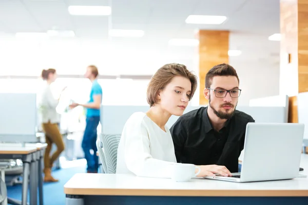 Serious focused man and woman working with laptop in office — Stock Photo, Image