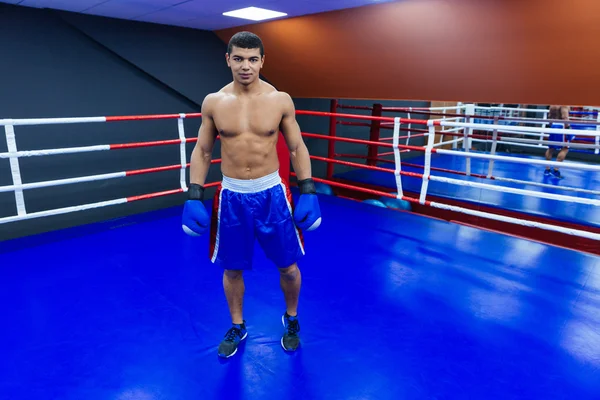 Boxer masculino em pé no ringue de boxe — Fotografia de Stock