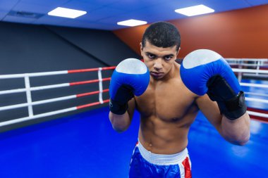 Boksör halka bir boks eğitimi