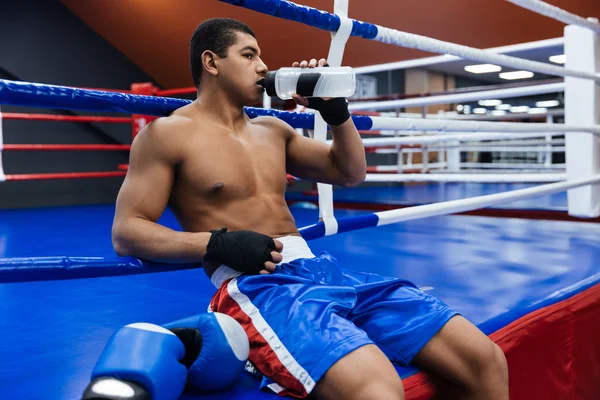 Boxer masculino água potável — Fotografia de Stock