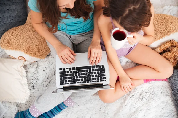 Two pretty happy sisters drinking tea and using laptop together — Stock Photo, Image