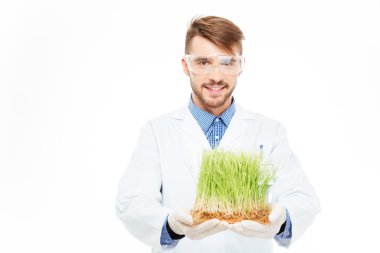 Male engineer showing modified plants clipart