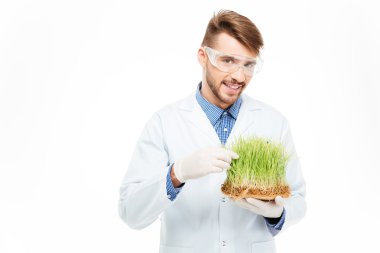 Erkek mühendis gösterilen değiştirilmiş bitkiler