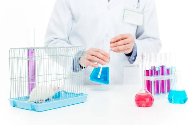 Wetenschapper doen van experimenten met rat — Stockfoto