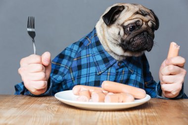Çatal ve sosis holding adam eller ile aç pug köpek