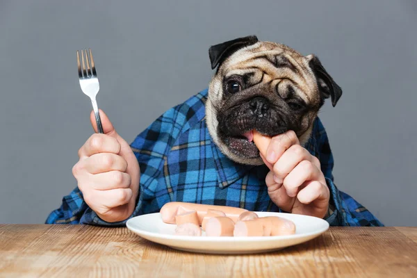 Homem com cabeça de cachorro comendo salsichas à mão — Fotografia de Stock