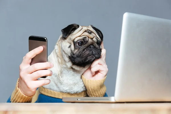 Pug cão com as mãos do homem usando laptop e telefone celular — Fotografia de Stock