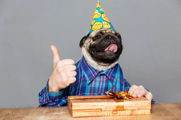 Pug cão com as mãos do homem segurando presente mostrando polegares para cima — Fotografia de Stock