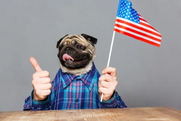 Happy man with pug dog head holding united states flag — Stock Photo, Image