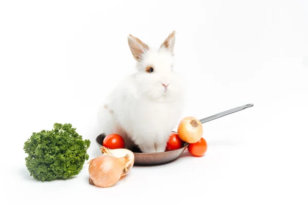 Rabbit inside a frying pan and vegetables Stock Photo