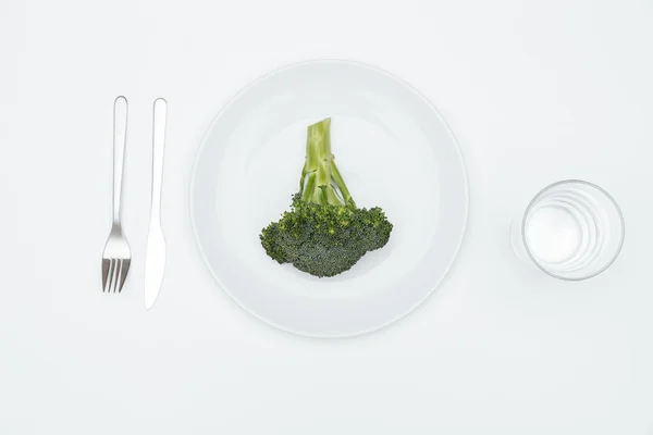 Top view of broccoli on the plate — Stock Photo, Image