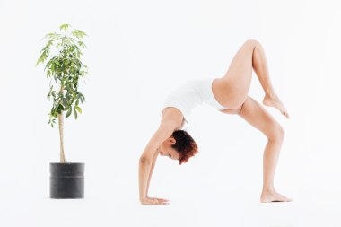 Çekici Afro-Amerikan esnek kadının köprü yoga poz yapması