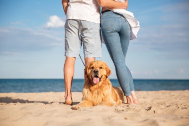 Arkadan görünüşü genç çift yakınındaki plajda yatan köpek