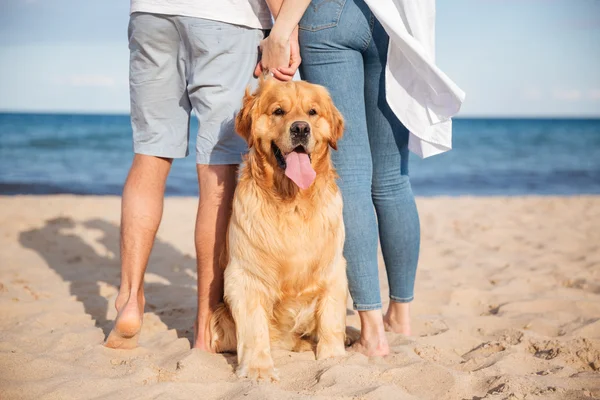 Hunden sitter nära unga par på stranden — Stockfoto