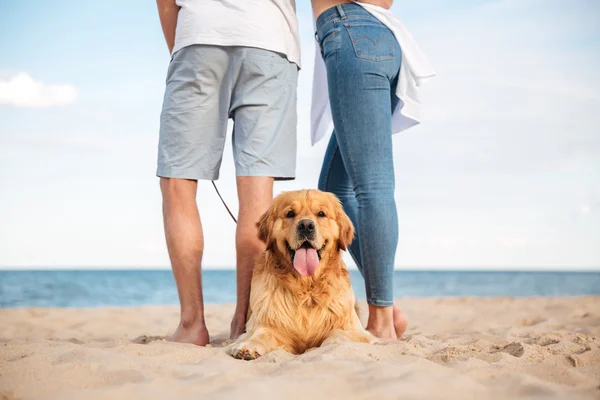 Schattige hond liggen in de buurt van jong koppel op het strand — Stockfoto